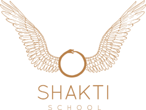 jobs at the shakti school